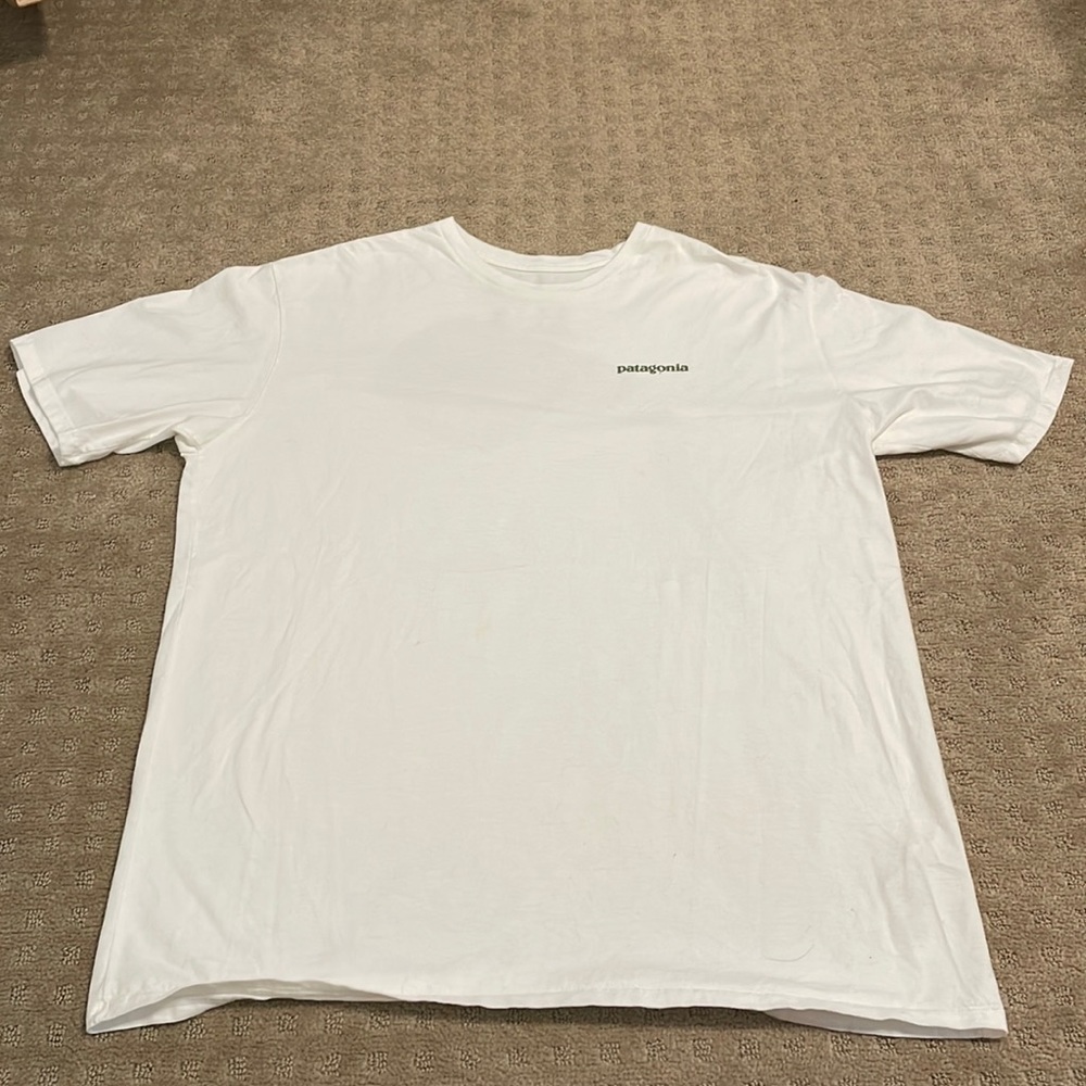 Patagonia shirt